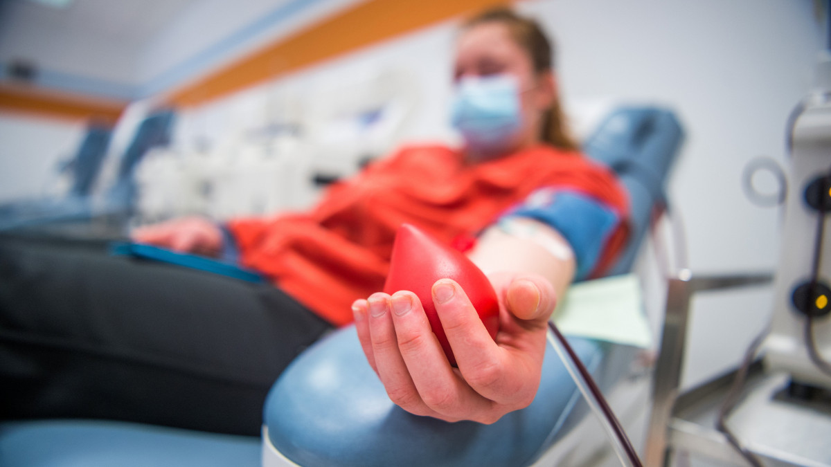 Vérplazmát ad egy nő a budapesti Biotest plazmaferezis állomáson 2020. április 28-án. Vérplazma adására kérik a koronavírus-fertőzésen átesett, gyógyult betegeket a szakemberek a tüneteket enyhítő kísérleti vérplazmaterápia kidolgozásához és alkalmazásához. A terápiát már alkalmazzák egy betegen, akinek a kezelése ígéretes. A donorjelöltek jelentkezését a koronavirusplazma.hu oldalon is várják.