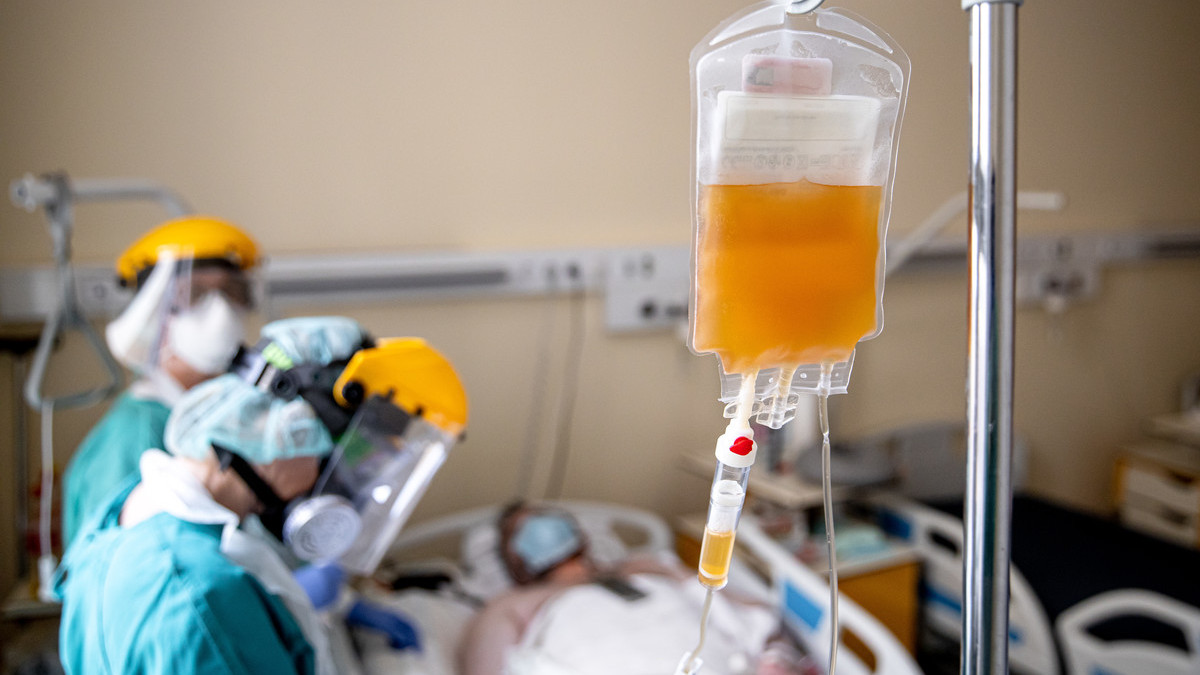 Vérplazma-terápia: igen jó hírek a Semmelweis Egyetemtől