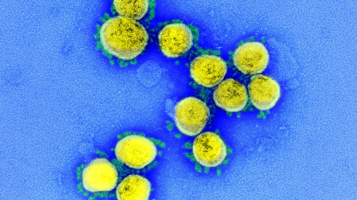Bejelentést tett az amerikai hírszerzés a koronavírusról