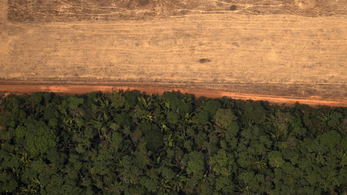 Légi felvétel kiirtott erdőkről az Amazonas-medencében lévő a brazíliai Porto Velho közelében 2019. augusztus 23-án. A Föld tüdejének is nevezett amazonasi esőerdő a legnagyobb a világon. Létfontosságú a szén-dioxid elnyelésében, ezáltal lassítja a globális felmelegedést. Hozzávetőleg egymillió őslakos és hárommillió növény- és állatfaj él a vidéken. 2019-ben rekordszámú, több mint 72 ezer erdőtüzet észlelt az Amazonas vidékén a térség őserdeit megfigyelő Brazil Nemzeti Űrkutatási Intézet (INPE). Ez 83 százalékkal több, mint amennyit 2018 azonos időszakában jegyeztek fel, és a legmagasabb szám 2013 óta. Az erdőtüzek nem ritkák a száraz időszakban, de a gazdák szándékosan is felgyújtanak erdőterületeket, hogy illegálisan irtsák a fát legelők létrehozása céljából.