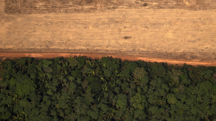 Jelentősen visszavett az erdőirtásból Brazília