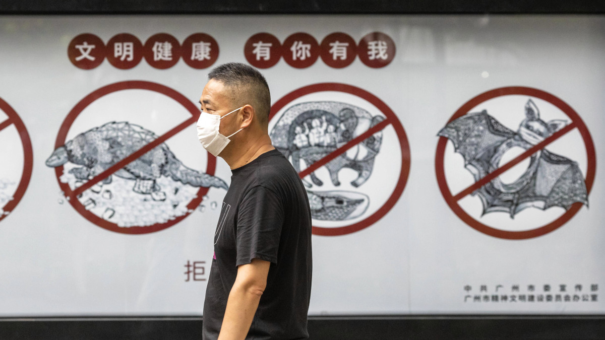 A koronavírus-járvány miatt védőmaszkot viselő férfi halad el egy plakát előtt, amelyen arra hívják fel a figyelmet, hogy tilos a vadállatok fogyasztása a Kuangtung tartománybeli Kantonban 2020. május 25-én, a koronavírus-járvány idején.
