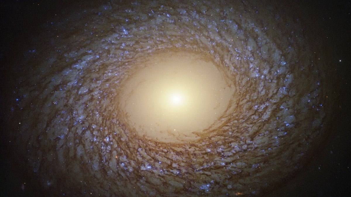 The spiral pattern shown by the galaxy in this image from theÂ NASA/ESA Hubble Space TelescopeÂ is striking because of its delicate, feathery nature. These flocculent spiral arms indicate that the recent history of star formation of the galaxy, known as NGC 2775, has been relatively quiet. There is virtually no star formation in the central part of the galaxy, which is dominated by an unusually large and relatively empty galactic bulge, where all the gas was converted into stars long ago. NGC 2275 is classified as a flocculentÂ spiral galaxy, located 67 million light-years away in the constellation of Cancer.Â  Millions of bright, young, blue stars shine in the complex, feather-like spiral arms, interlaced with dark lanes of dust. Complexes of these hot, blue stars are thought to trigger star formation in nearby gas clouds. The overall feather-like spiral patterns of the arms are then formed by shearing of the gas clouds as the galaxy rotates. The spiral nature of flocculents stands in contrast to the grand
