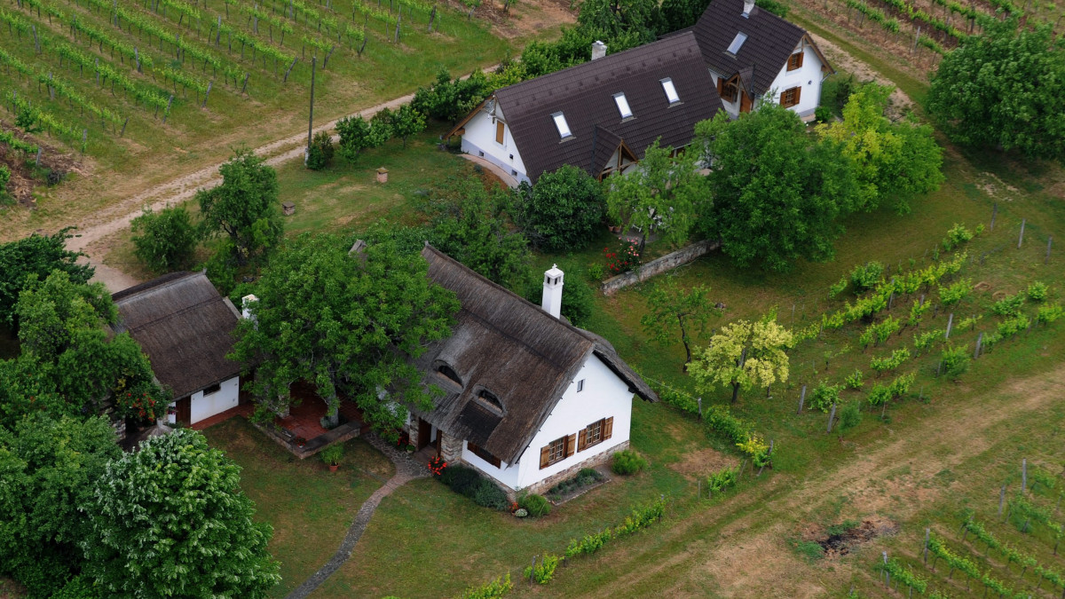 Házak a szőlőtáblák szomszédságában Csopakon.