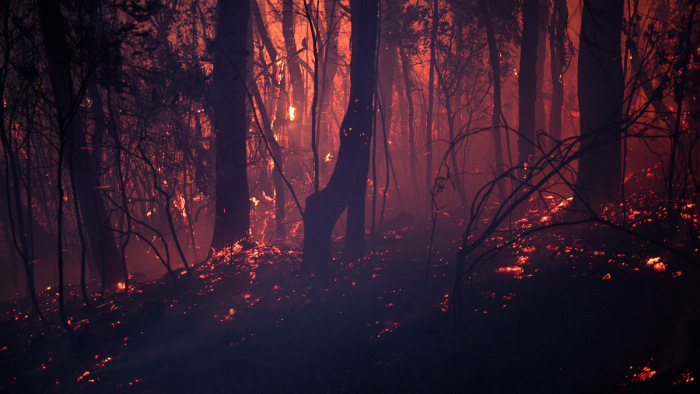 A legrosszabb félelmeket is felülmúlta az ausztrál erdőtüzek őríjtő pusztítása