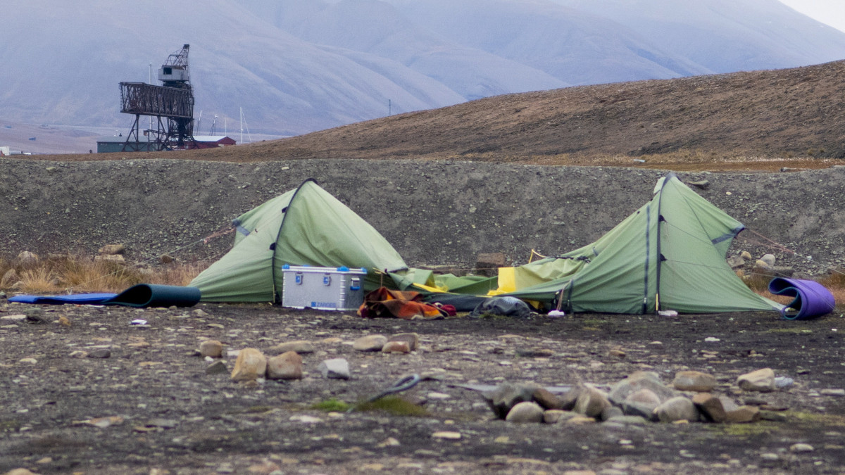 Az áldozat, a holland Johan Jacobus Kootte sátra a Norvégiához tartozó jeges-tengeri Svalbard-szigetek (Spitzbergákon) székhelyén, Longyearbyen közelében 2020. augusztus 28-án. A 38 éves kempingező jegesmedve-támadás áldozata lett a hajnali órákban, a ragadozót a többi kempingező lelőtte. Ez a hatodik halálos jegesmedve-támadás a sarkkörön túli szigetcsoporton 1971 óta.