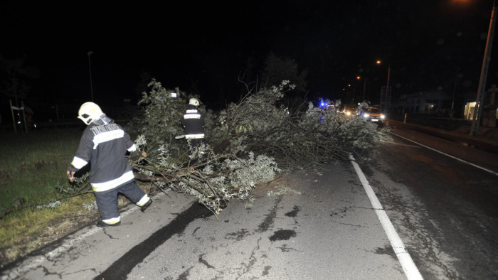 A vihar fát döntött egy arra haladó autóra az 1-es főúton - teljes útzár