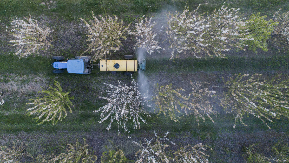 Traktor növényvédőszert permetez a Mokos pincészet meggyültetvényében Palkonyán 2019. április 16-án.