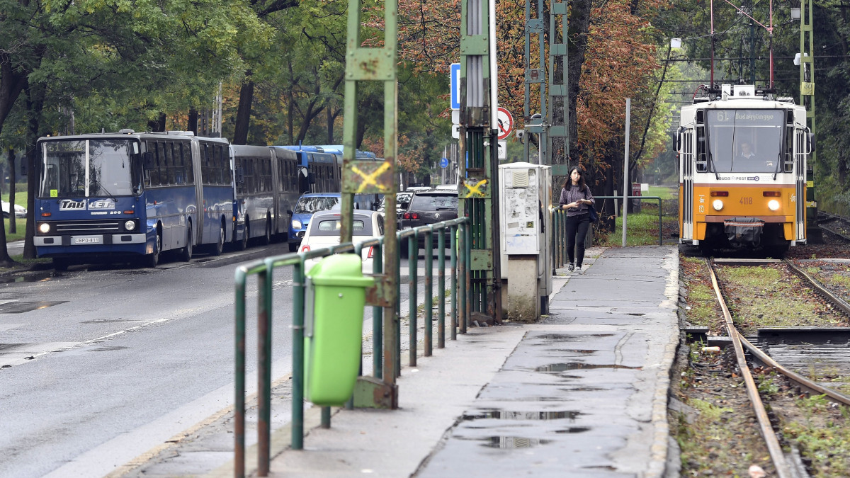 Villamospótló buszok a II. kerületi Szilágyi Erzsébet fasoron, a Budagyöngye megállónál 2018. szeptember 3-án. Szeptember 1-jén a 61-es villamos 2017-ben felújított vonalán, a Kelemen László utcai megállónál a hatalmas mennyiségű esővíz kimosta a sínek alól a zúzottkő ágyazatot. A BKV közlése szerint a villamosforgalom a hét második felében indulhat újra az érintett szakaszon.