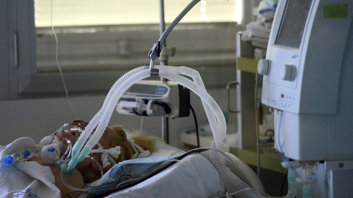 Lélegeztető gépen lévő beteg a Jahn Ferenc Dél-pesti Kórház intenzív osztályán 2020. április 8-án.