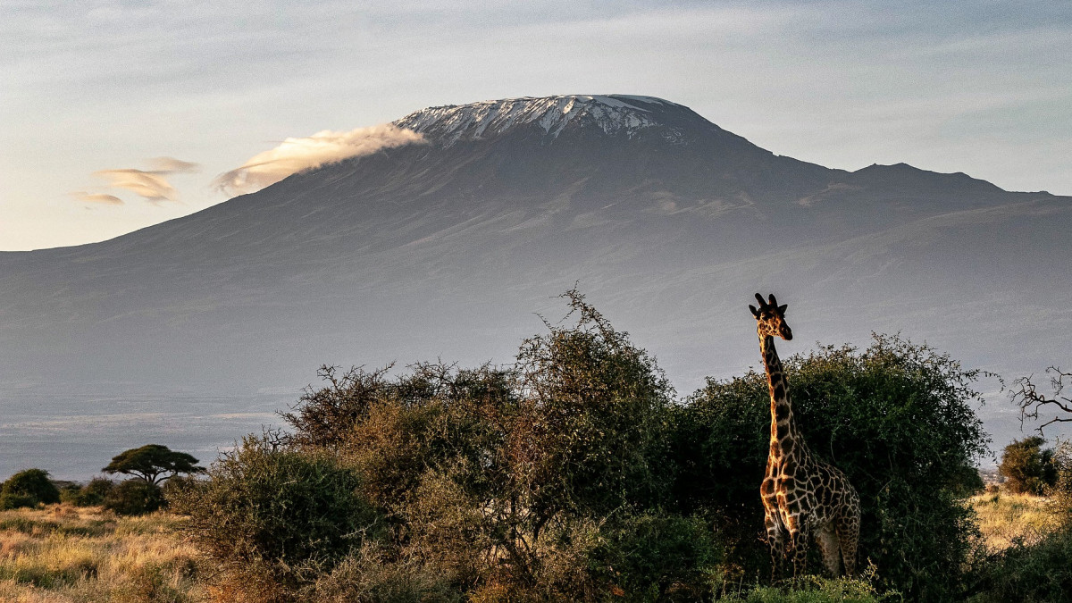 Tudományos tény: a Kilimandzsáró hava is eltűnik 2050-re