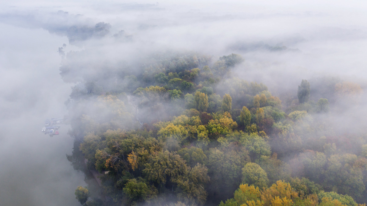 Fák ködben a Szentendrei-szigeten 2020. október 23-án.