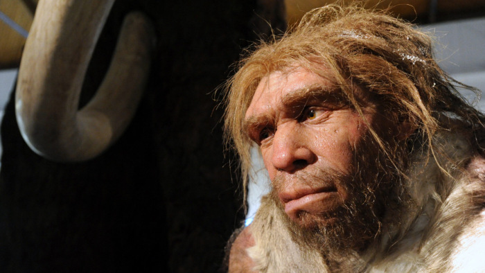 Felfedezés a Homo sapiensről, amely átírja a történelemkönyveket