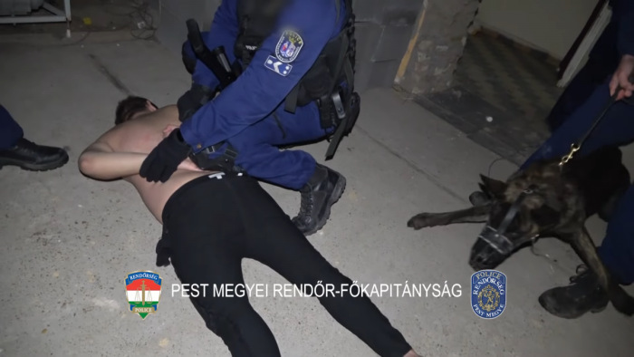 Rendőrségi razzia: nyolcvan rendőr három kutyával intézkedett - videó