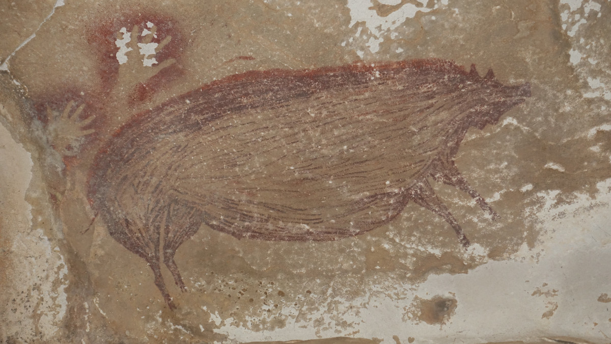 Az ausztráliai Griffith Egyetem által 2021. január 14-én közreadott kép egy vaddisznót és két kézlenyomatot ábrázoló barlangrajzról a Celebesz szigetén fekvő Leang Tedongnge barlangban. A régészek által 45 ezer évesre becsült, sötétvörös és okker színekkel készített alkotás a világ eddig felfedezett legősibb barlangi állatfestménye.