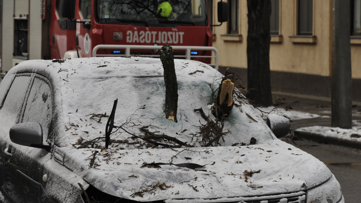 A szélviharban letört, egy autó szélvédőjébe fúródott faágak Budapesten a Kisfaludy utcában 2021. február 11-én. A viharos szél, illetve hófúvás miatt sokfelé továbbra is első- és másodfokú riasztás van érvényben az országban.