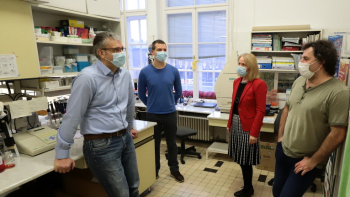 Szegedi kutatók feltérképezték, miként véd a BCG-oltás a koronavírussal szemben