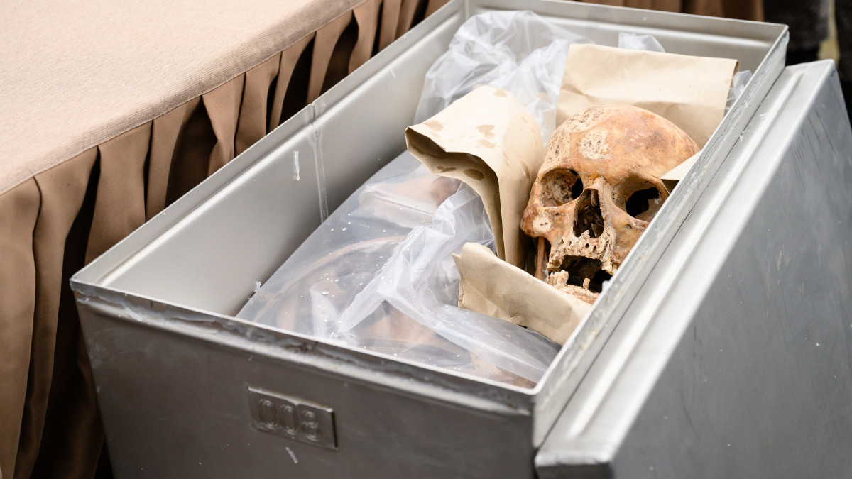 A Székesfehérvári Osszárium (csontkamra) egyik fémládájában található csontok azon a sajtótájékoztatón Székesfehérváron, az egykori koronázó bazilika helyén lévő Nemzeti emlékhelyen 2021. február 22-én, amelyen bejelentették, hogy megkezdődik a csontkamrában őrzött királyi maradványok vizsgálata. Ezen a napon megnyitották az osszáriumot és felszínre hozták az első, csontokat tartalmazó fémládákat.