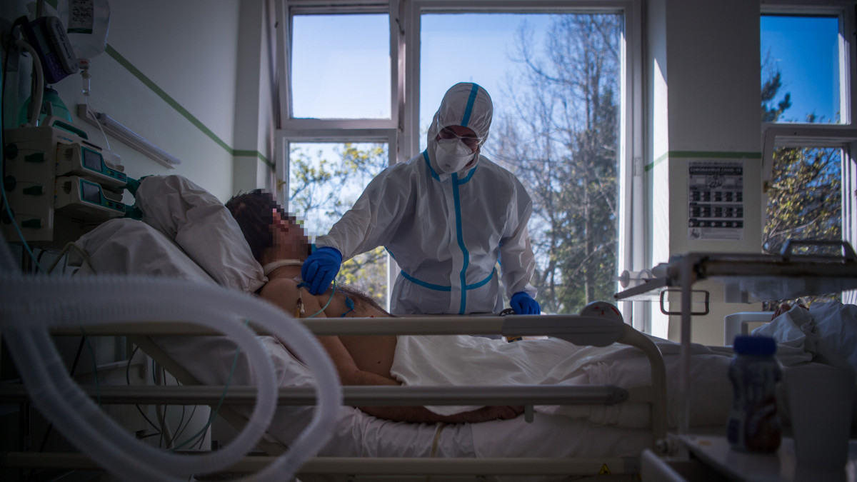 Ápoló egy koronavírussal fertőzött, lélegeztető gépről lekerült beteget lát el az Országos Korányi Pulmonológiai Intézetben kialakított izolációs teremben 2020. április 8-án.