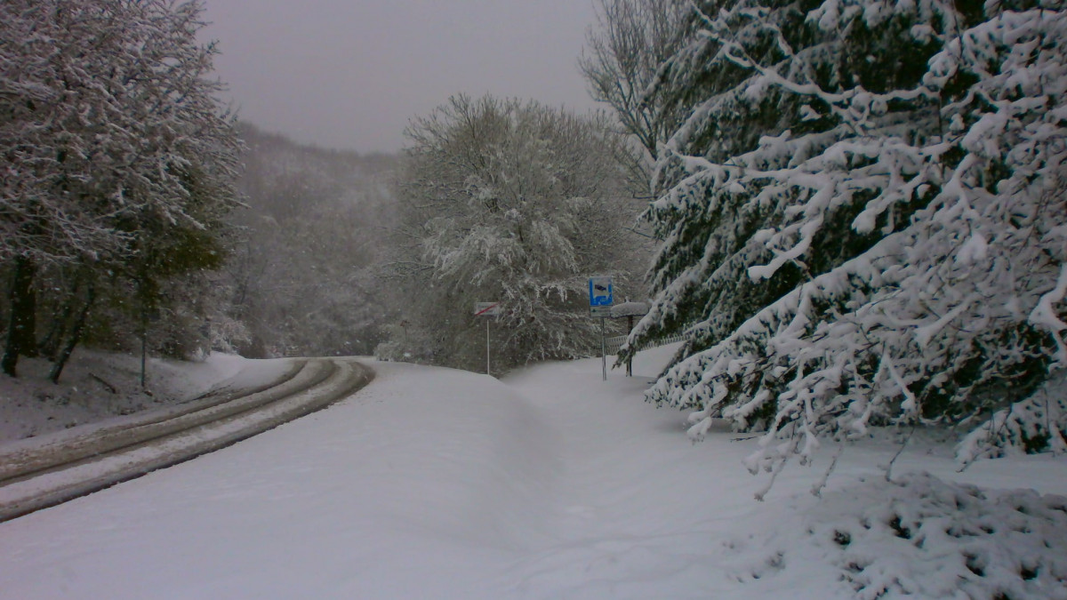 Ítéletidő a Bakonyban, autók akadnak el a hóban, és még nincs vége – fotók