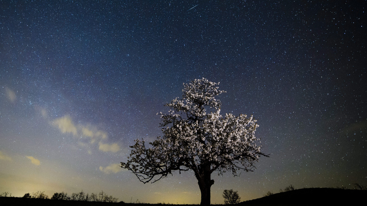 Egy meteor az égbolton a Medves-fennsík felett Salgótarján közelében 2015. április 21-én. Az egyik legrégebben ismert meteorraj, a Lyridák maximumát április 22. és 23. között várják.