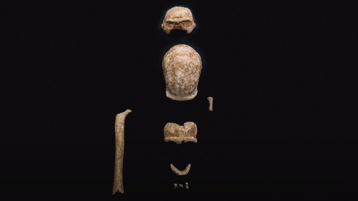 Fontos teória dőlhet meg a neandervölgyi emberről