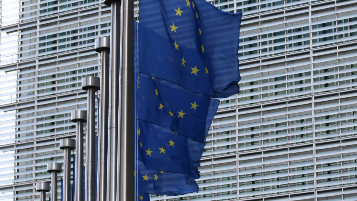 Jogállamisági EU-vizsgálatok, Barrosótól von der Leyenig