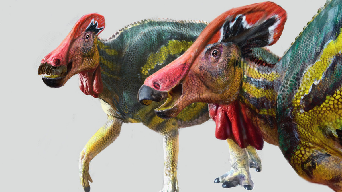 Eddig sosem látott dinoszauruszt azonosítottak Mexikóban