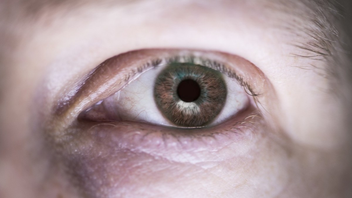 Agyi implantátummal, a szem megkerülésével állították vissza részlegesen egy vak nő látását - Qubit