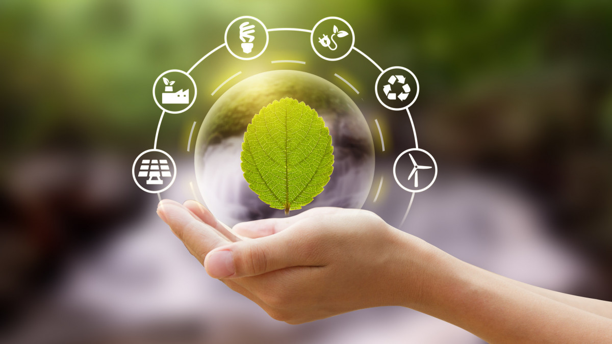 Hand holding a bubble of leaf with eco icon and Nature background metaphor sustainable lifestyle and Eco friendly