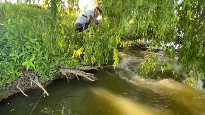 Horgászt rántott vízbe a méretes harcsa - videó