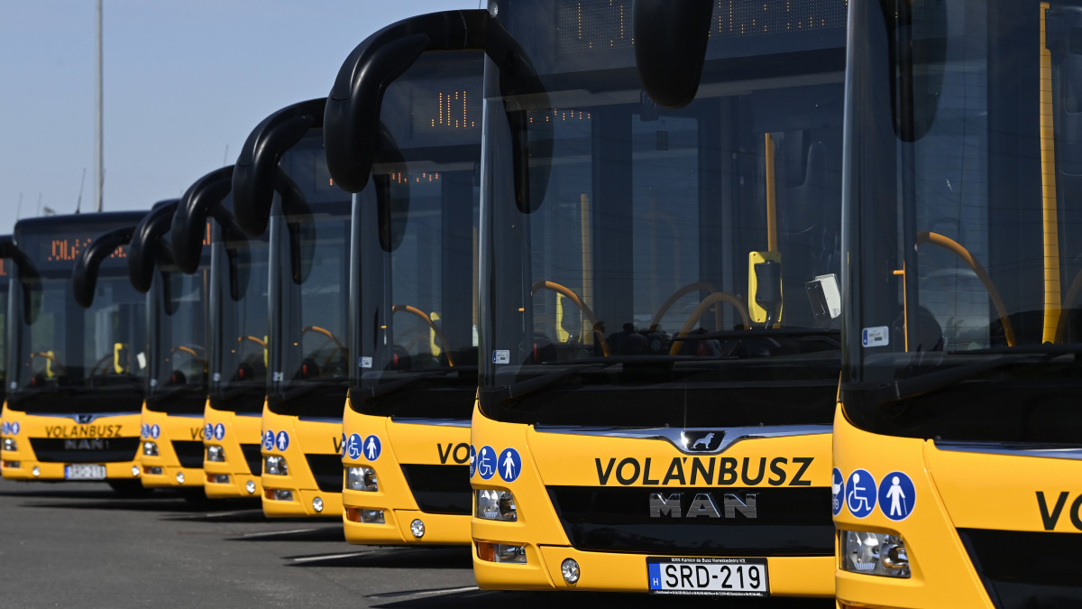A Volánbusz Zrt. új MAN Lions City GL A23 típusú csuklós autóbuszai a járművek esztergomi bemutatóján 2021. június 16-án.