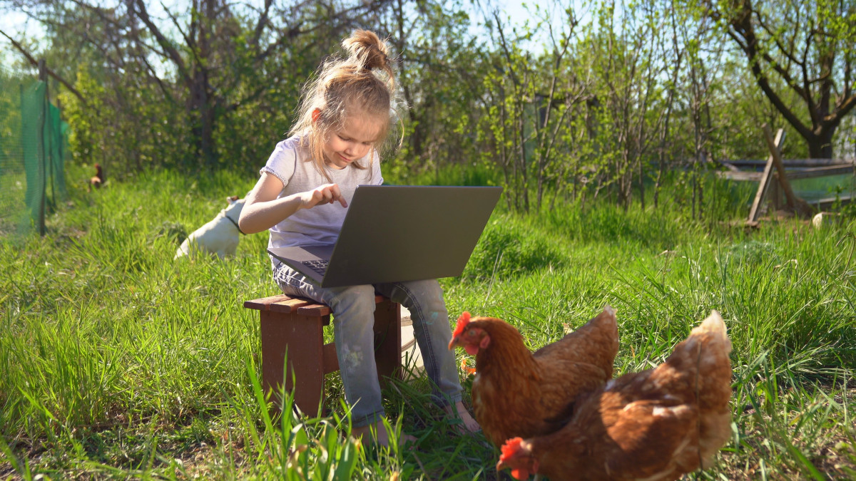 Little girl schoolgirl with chickens and laptop in village, in nature. Kid out of town with computer. Children in country is learning, studying, working via the Internet. Remote education.