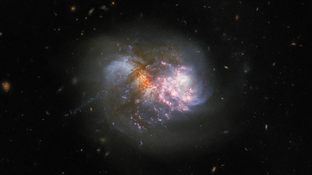 A cataclysmic cosmic collision takes centre stage in this Picture of the Week. The image features the interacting galaxy pair IC 1623, which lies around 275 million light-years away in the constellation Cetus (The Whale). The two galaxies are in the final stages of merging, and astronomers expect a powerful inflow of gas to ignite a frenzied burst of star formation in the resulting compact starburst galaxy.Â  This interacting pair of galaxies is a familiar sight; Hubble captured IC 1623 in 2008 using two filters at optical and infrared wavelengths using the Advanced Camera for Surveys. This new image incorporates new data from Wide Field Camera 3, and combines observations taken in eight filters spanning infrared to ultraviolet wavelengths to reveal the finer details of IC 1623. Future observations of the galaxy pair with the NASA/ESA/CASA James Webb Space Telescope will shed more light on the processes powering extreme star formation in environments such as IC 1623.
