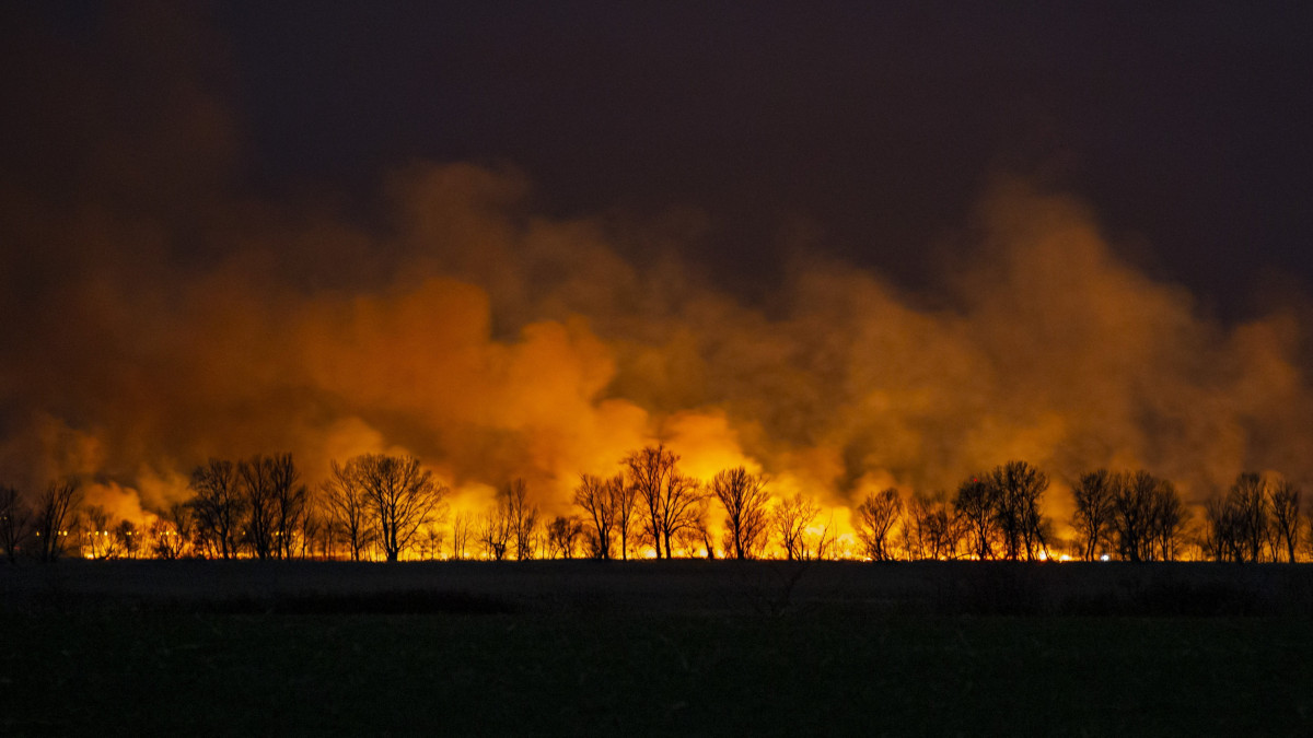 Az égő nádas Fonyód külterületén 2021. február 27-én éjjel. A tüzet február 28-án hajnalra eloltották; mintegy százhúsz hektáron égett le a terület.
