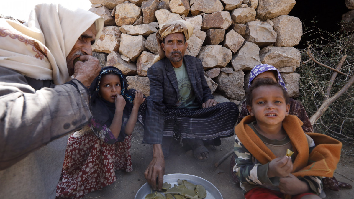 Szőlőlevélhez hasonló növény megfőzött leveleit eszik egy család tagjai Bani al-Kallam hegyi faluban, a fővárostól, Szanaától 100 km-re délnyugatra 2021. február 13-án. A körülbelül 28 milliós lakosú országban több mint hat éve zajló fegyveres konfliktus miatt humanitárius krízishelyzet alakult ki: a súlyos nélkülözés miatt a lakosság több mint kétharmada szorul segítségre alapvető szükségleteinek kielégítése érdekében. A hegyvidéki faluban élő 2500 helyi lakos egyetlen tápláléka a főtt szőlőlevél. A harcok következtében elpusztultak az állataik és a termények is megsemmisültek.