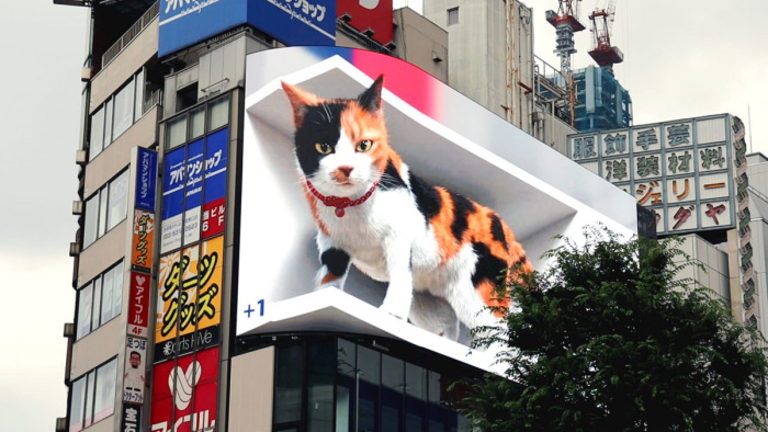 Gigantikus macska bukkant fel Tokióban