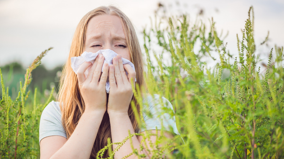 Young woman sneezes because of an allergy to ragweed.