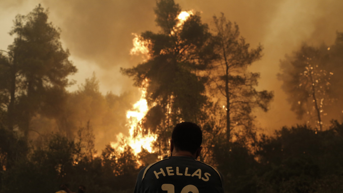 Erdőtűz lángjait figyeli egy férfi a görögországi Évia-szigeten fekvő Pefkiben 2021. augusztus 8-án. A görögországi erdőtüzek a leginkább Évia szigetét sújtják.