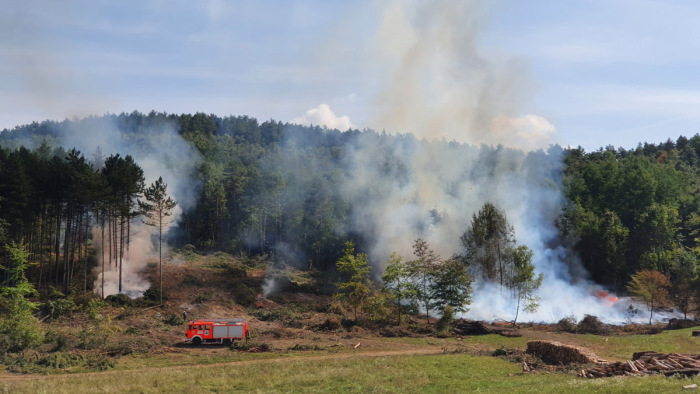Erdőtűz pusztított Szilvásváradnál – képek