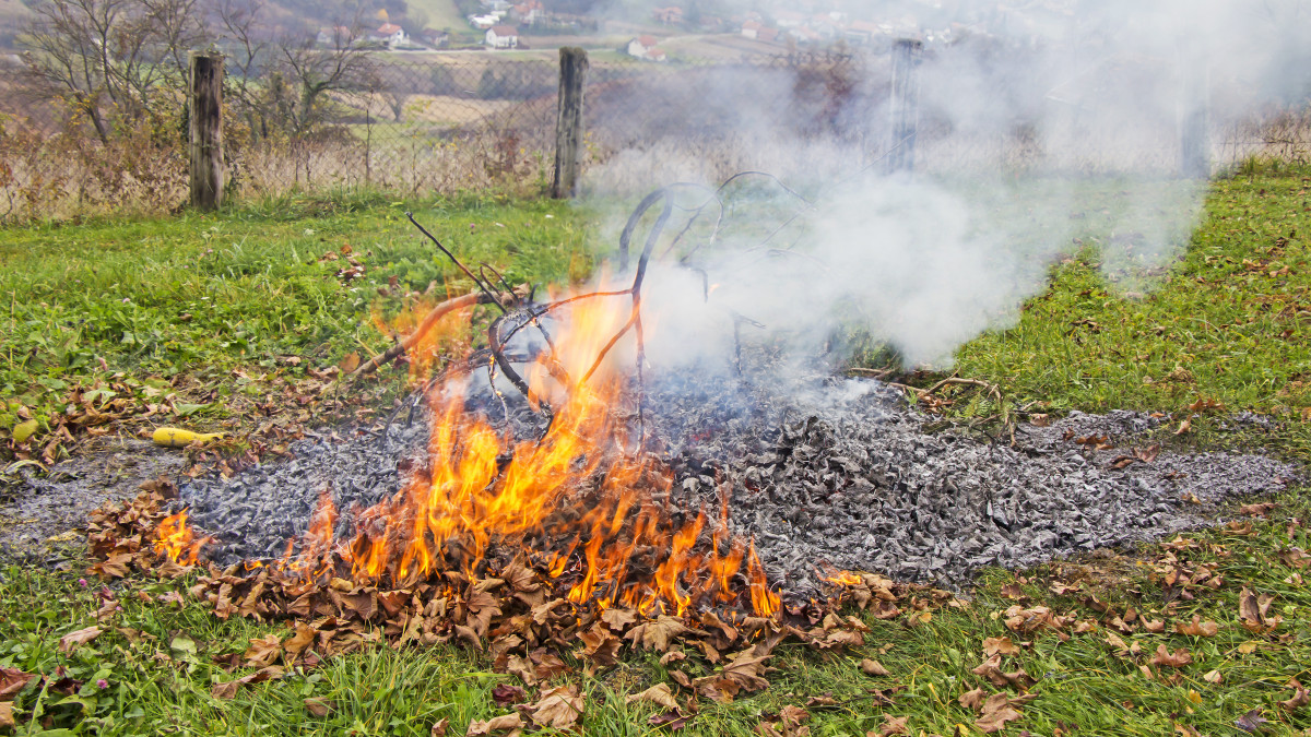 Smoke and fire from during Burning of garden waste
