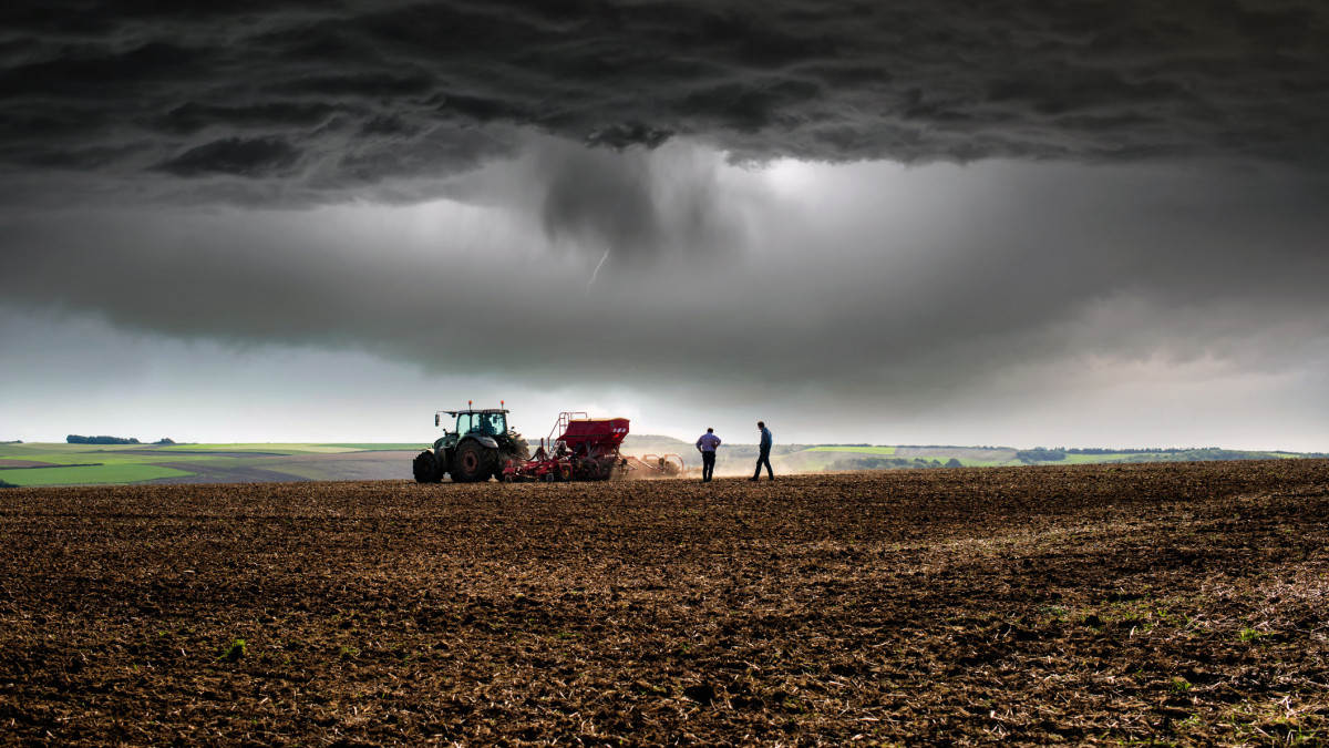 Arrival of the storm on the countryside