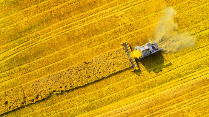 Ezt lépte Ukrajna hétfőn a gabonakorlátozások miatt