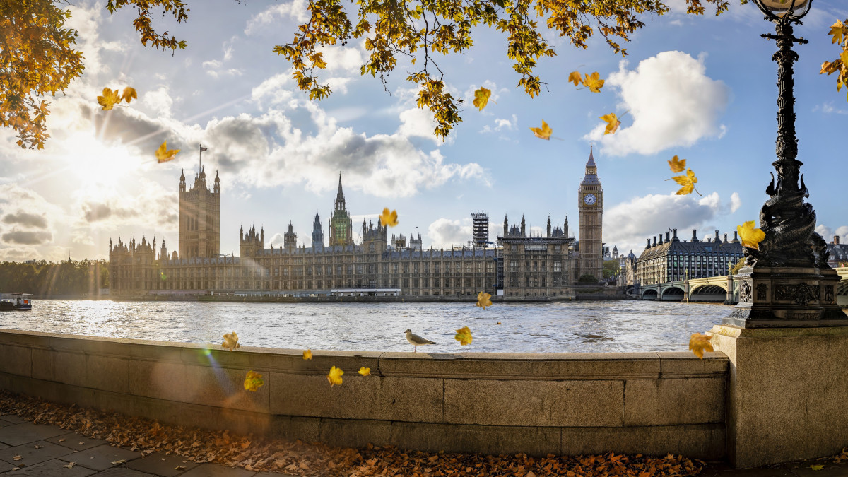 Panoramic view to Westminster Palace and Big Ben tower in London, UK, during golden autumn time with sunshine and colorful leafs falling from the trees