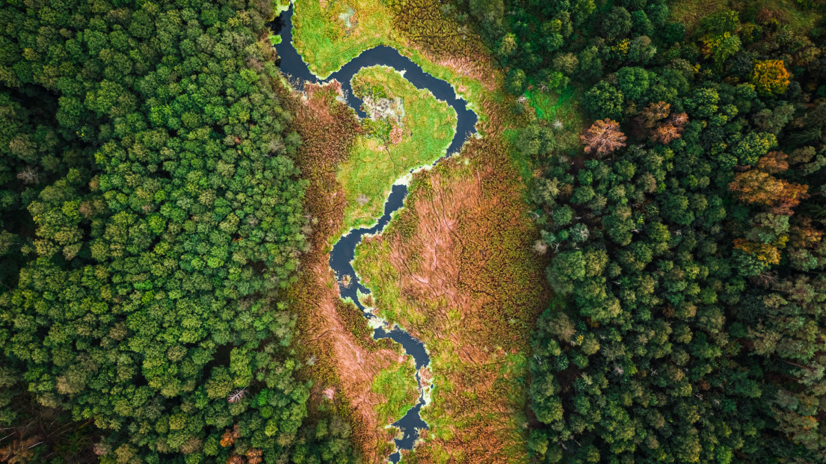 Aerial view of small river and swamps in autumn, drone view in Poland