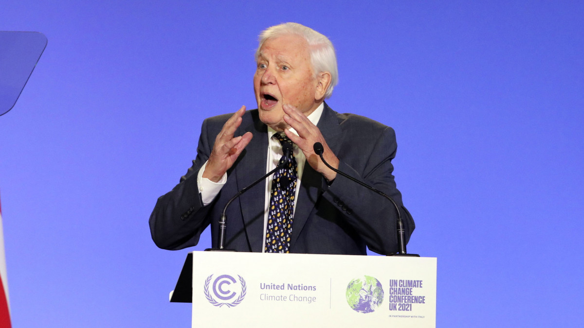 Sir David Attenborough brit természettudós és ismeretterjesztő dokumentumfilmes beszédet mond az ENSZ 26. klímakonferenciáján (COP26) Glasgow-ban 2021. november 1-jén. A november 12-ig tartó tanácskozás célja, hogy a résztvevők elkötelezzék magukat amellett, hogy a globális felmelegedés mértéke ne haladja meg a 1,5 Celsius-fokot az iparosodás előtti értékhez képest.