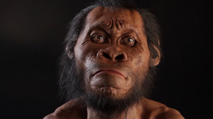 A legrejtélyesebb rokon: negyedmillió éves emberelőd maradványaira bukkantak