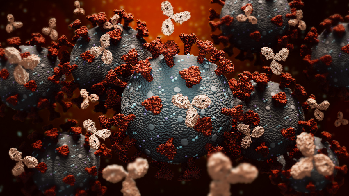 Monoclonal antibodies or immunoglobulin fighting against a group of coronavirus or covid cells 3D rendering illustration. Immunity, immune system, immunotherapy, biomedical, biology, medicine concepts. Accurate scientific render and artist vision.