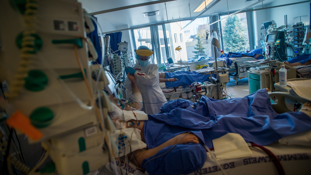 Védőfelszerelést viselő gyógytornász átmozgat egy beteget a fővárosi Semmelweis Egyetem Városmajori Szív- és Érgyógyászati Klinika koronavírussal fertőzött betegek fogadására kialakított intenzív osztályán 2021. április 9-én.