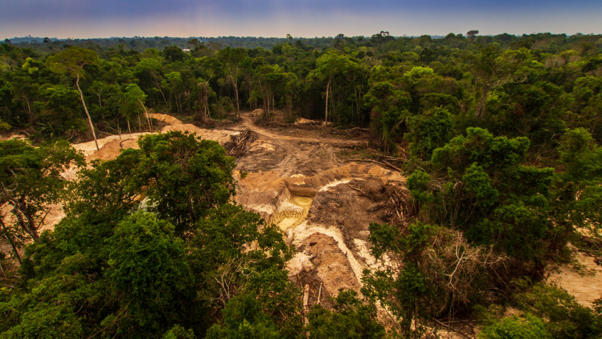 Illegal mining causes deforestation and river pollution in the Amazon rainforest near Menkragnoti Indigenous Land. - ParĂĄ, Brazil